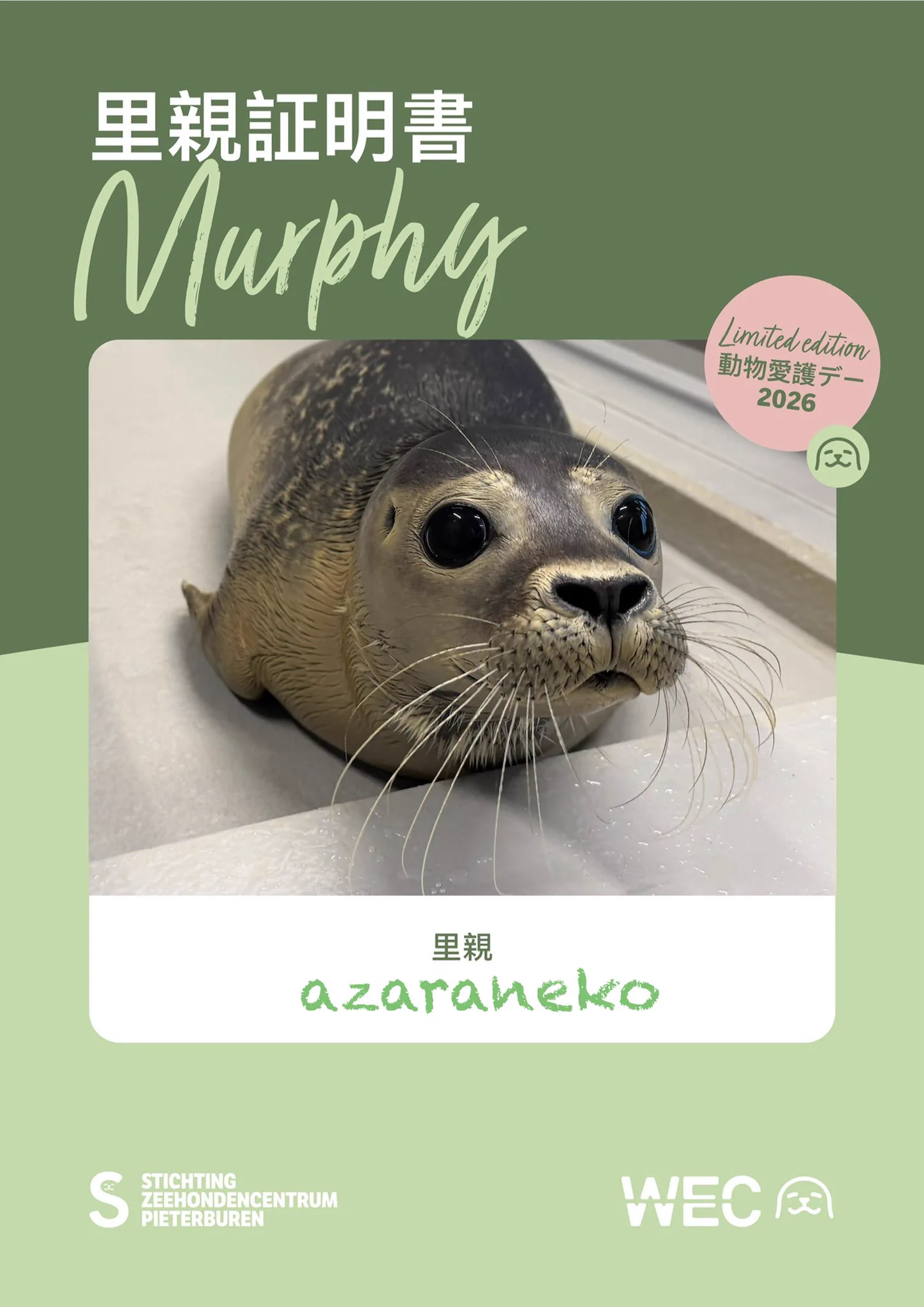 Replies by あざら猫 (@Y_azara_seal) / X