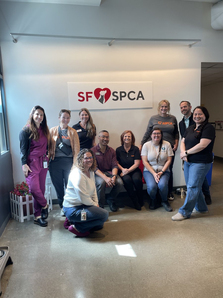 ASPCAPro's tweet photo. Through Humane Society Silicon Valley's Garden Cat program, cats are matched to suitable homes. New caregivers are advised to keep cats in a secure enclosure as they adjust and to provide daily care and vet care, helping 250 cats find loving homes. #ShelterHacks https://t.co/1EhrhC2fv2