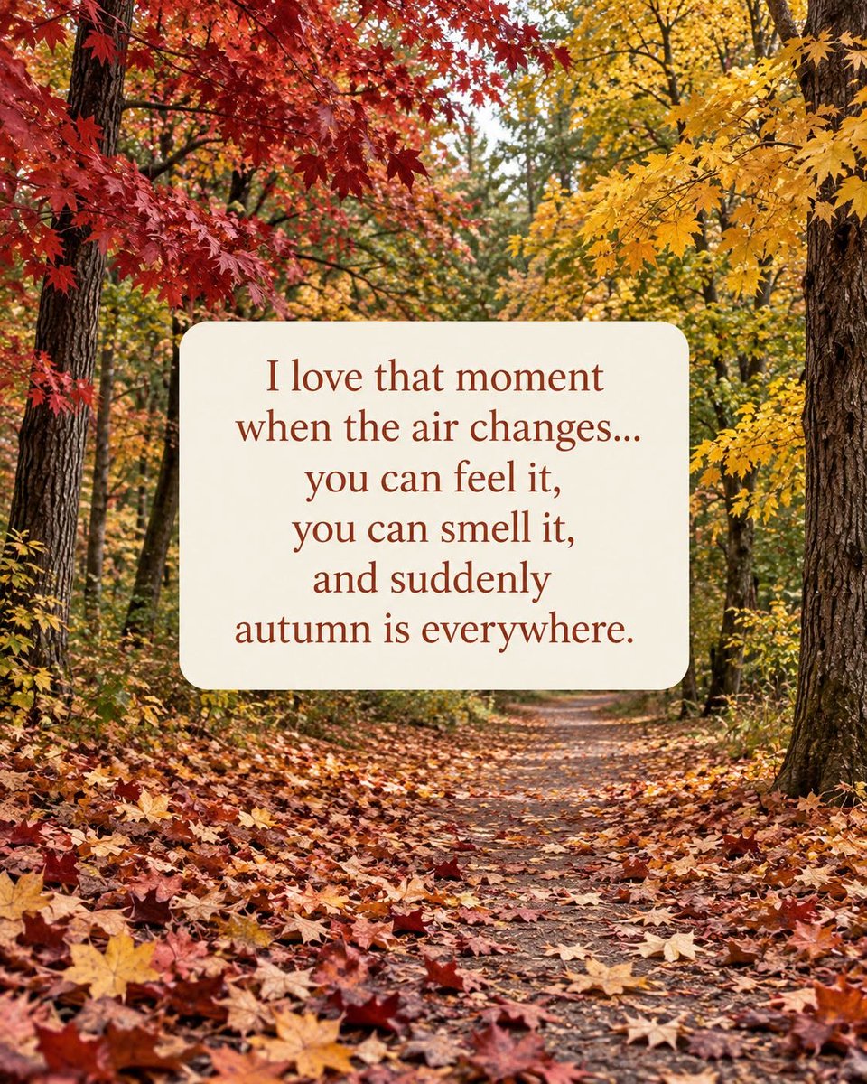 LifeWithJohn's tweet photo. "I love that moment when the air changes...
you can feel it, you can smell it, and suddenly 
autumn is everywhere." - Gardening Wins 
~ Autumn has a beautiful way of announcing itself. https://t.co/uovrkzm3V9