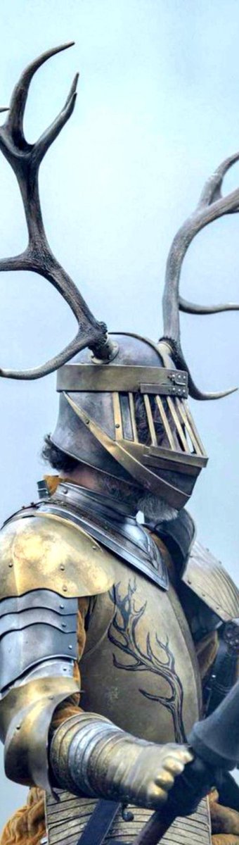 Mayham_H's tweet photo. the armors in a knight of the seven kingdoms>> https://t.co/8w2qyll43H