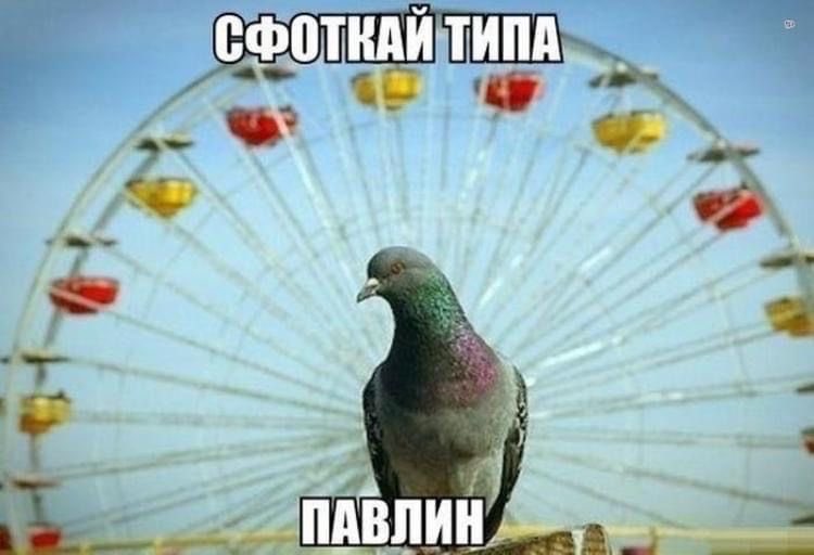 qwepushka's tweet photo. делайте как надо, а как не надо не делайте https://t.co/JTBIvf9cOG