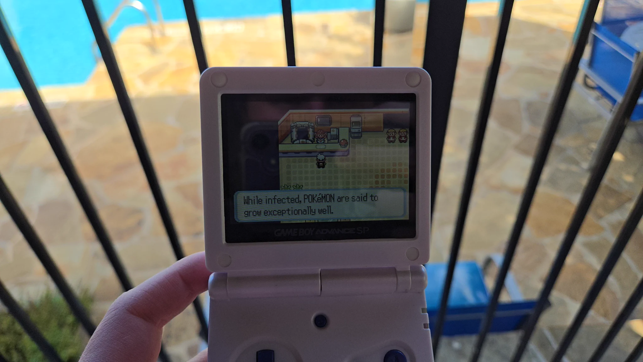 Matt (Absol) on X: 