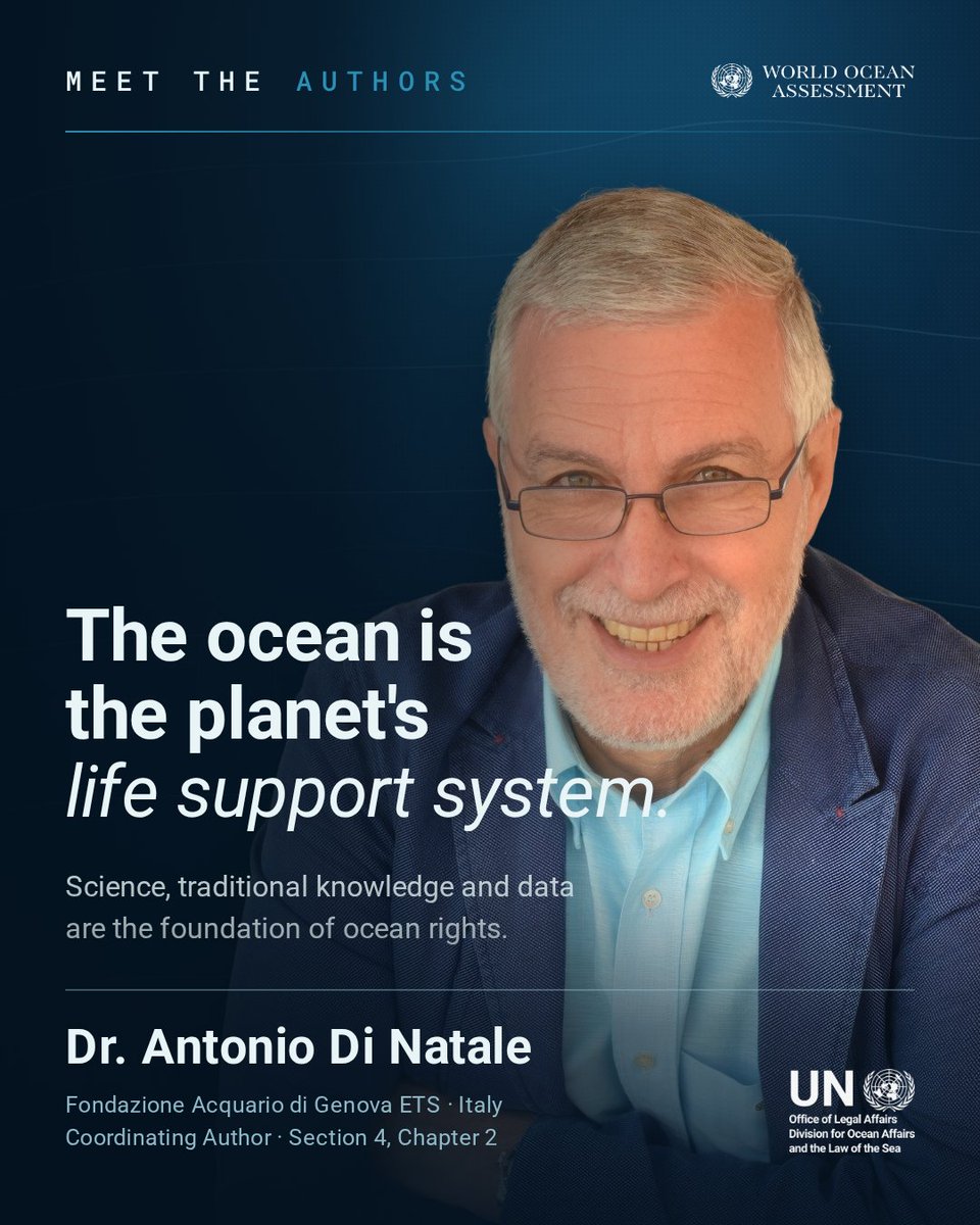 undoalos's tweet photo. “The ocean is the planet’s life support system.”

Meet Antonio Di Natale of the Fondazione Acquario di Genova &amp; Coordinating Author of the chapter on scientific understanding for #WOAIII 

Learn more: https://t.co/KAybG2HeTz 

#OceanScience #ShareTheKnowledge https://t.co/eIL0Q5cpQY
