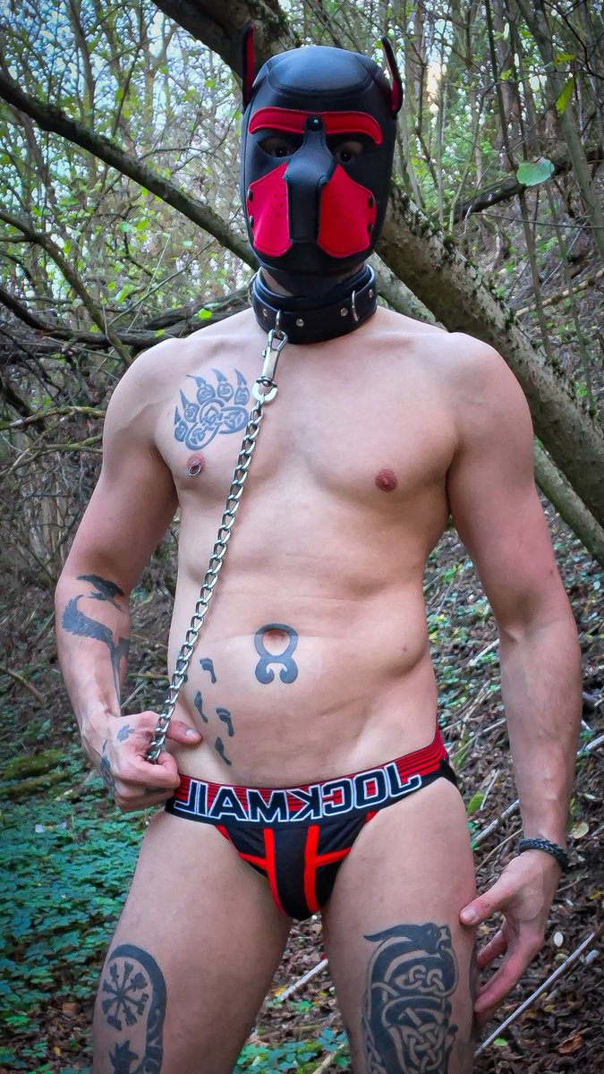 RiotRaven6's tweet photo. Lost in the woods 🌲🐾
#RiotRaven #Pup #Tattoo #Jockstrap #Public https://t.co/B8wwqj6tsh