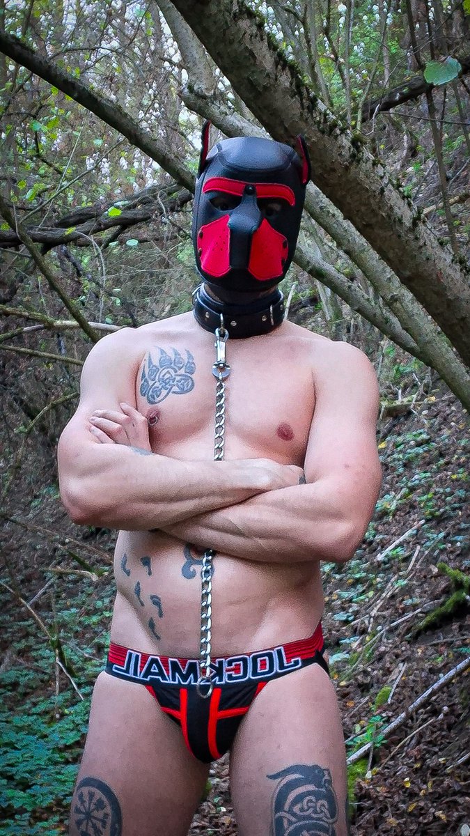 RiotRaven6's tweet photo. Lost in the woods 🌲🐾
#RiotRaven #Pup #Tattoo #Jockstrap #Public https://t.co/B8wwqj6tsh