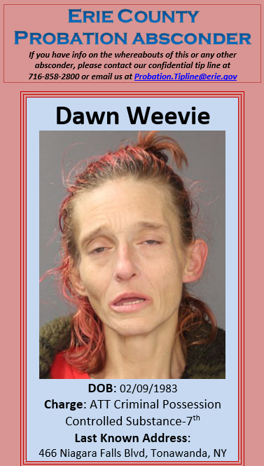 ECProbation's tweet photo. Absconder Dawn Weevie
https://t.co/mlokM5PjLD https://t.co/OS2uE7pftj