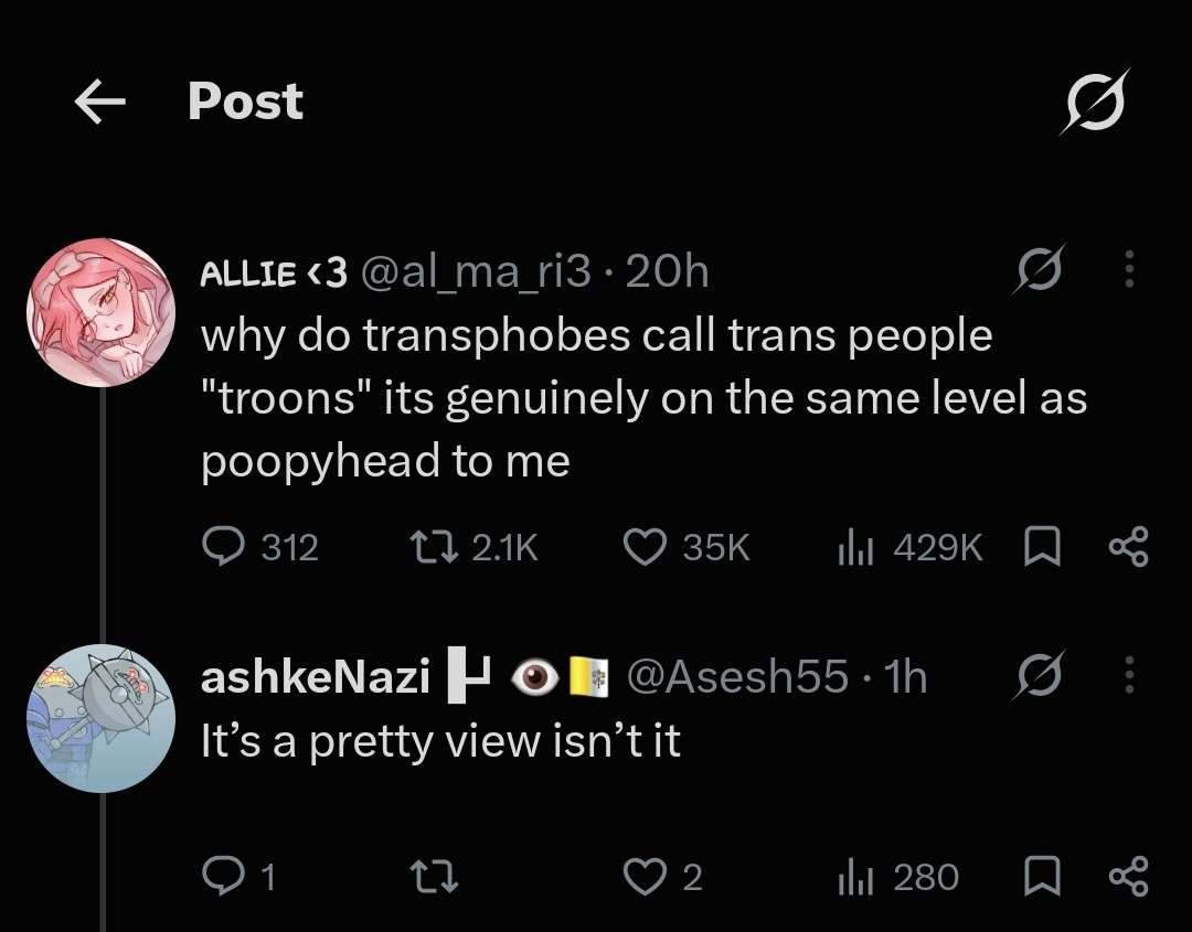 al_ma_ri3's tweet photo. i am 15 years old and receiving death threats for talking about the word "troon" 🫩 https://t.co/h7qeNmZs5i