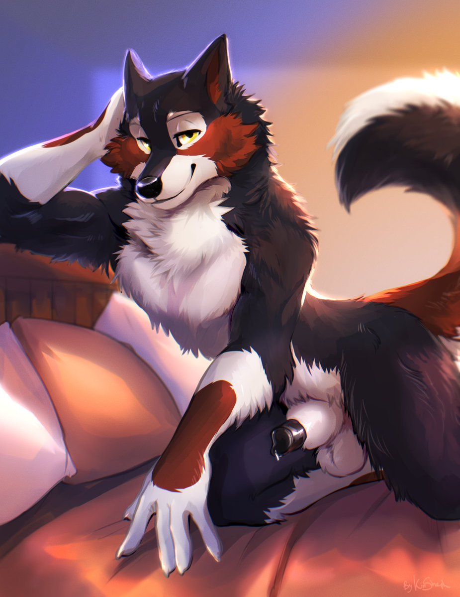 KinSheph's tweet photo. Available streaming days in November:  6th, 11th, 13th
3-hour slot 140€ (160$usd) (Solo)
6-hour slot 260€ (300$usd (Detailed solo OR 2-char art)
If interested message me on tg @/KinShArt1308 

Not accepting anything for October slots, I decided to go easy on streams in October. https://t.co/NVhmXjAwTI