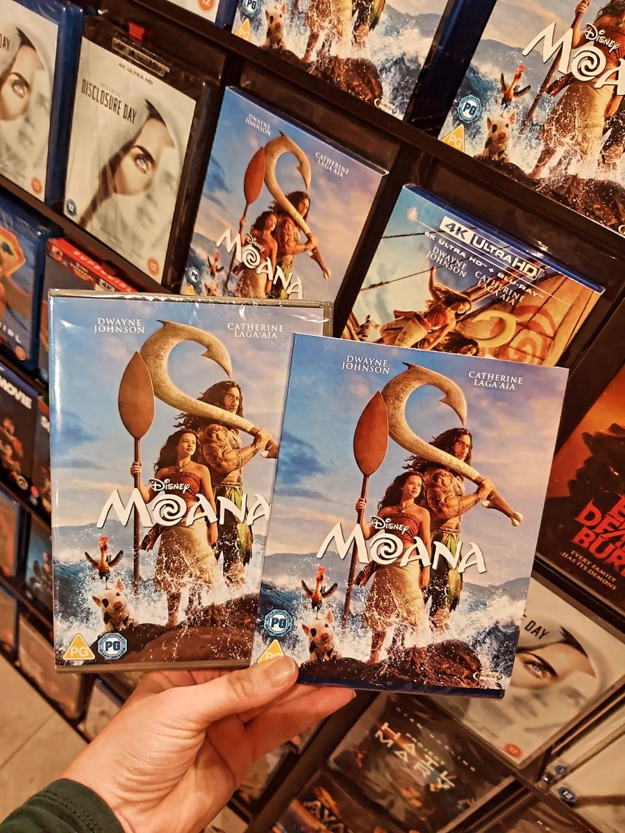 hmvIpswich's tweet photo. From one extreme to another with today's new releases 
#EvilDeadBurn 
#MoanaLiveAction 
#Cujo 
#LastBoyScout 
#NewMovieMonday https://t.co/mxobqf93Rx