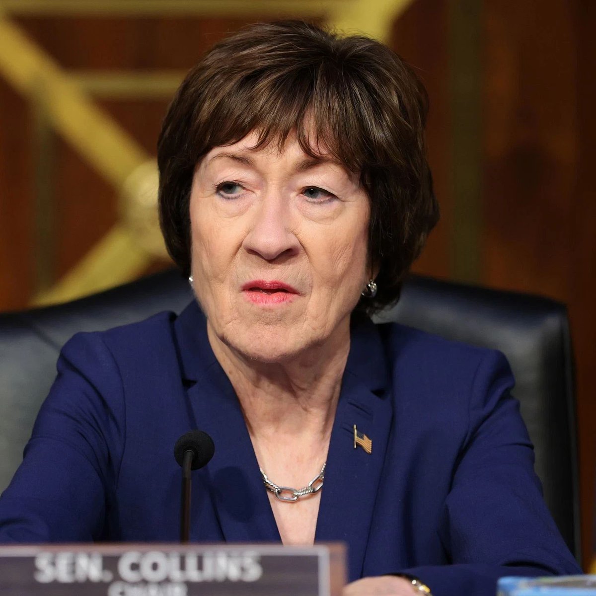 NoLieWithBTC's tweet photo. Republicans are reportedly panicking after they accidentally spent money on ads supporting Susan Collins in Portland, Oregon instead of Portland, Maine. https://t.co/F0aqKr0n2c