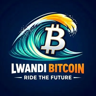 LwandiBitcoin tweet picture