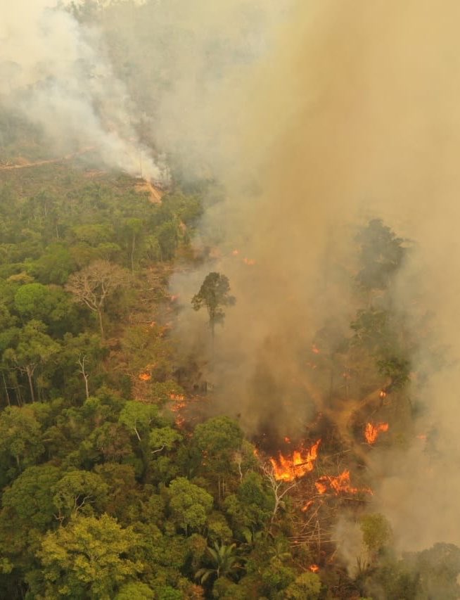 chequeibrasil's tweet photo. 🚨URGENTE: Com avanço das queimadas, Flávio cresce em Amazonas, estado onde Lula venceu, e atinge 50% dos votos. https://t.co/A06YoVOO5b