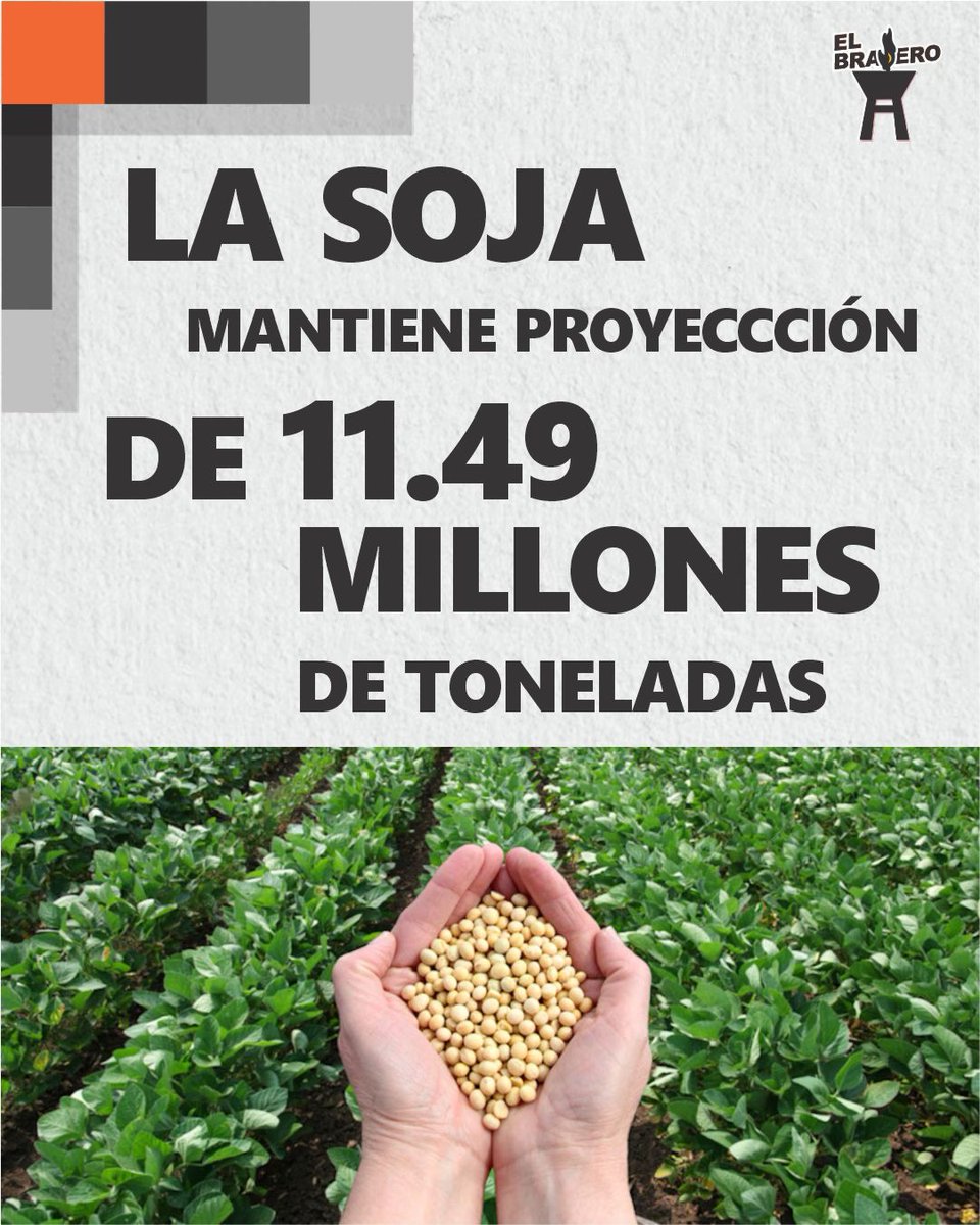 BraseroPy's tweet photo. Siembra alcanza 95% https://t.co/8a4BWbfkF7
