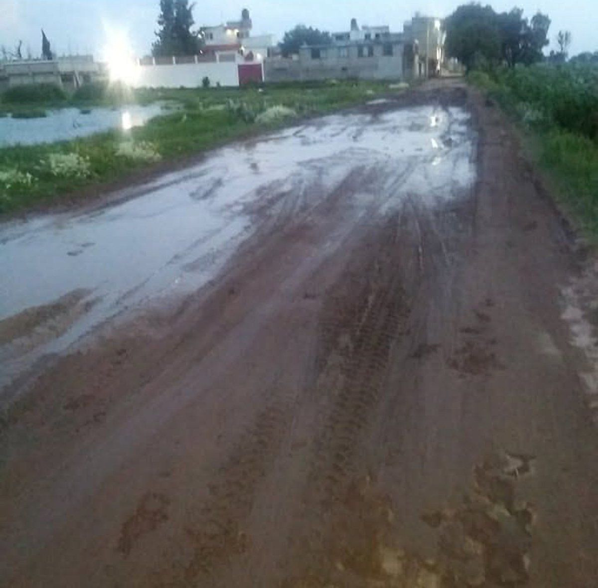 Francisco20014's tweet photo. @AyuntamientoZum @delfinagomeza Es enserio  ese premio  aun teniendo más de 2 décadas sin pavimentar algunas avenidas de las colonias SAN JUAN DE GUADALUPE, SAN BARTOLO, OLMOS donde transporte, iños y adolecentes sufren cada que llueve? Camino col OLMOS a San Juan de Guadalupe. https://t.co/eBO64d8LbA