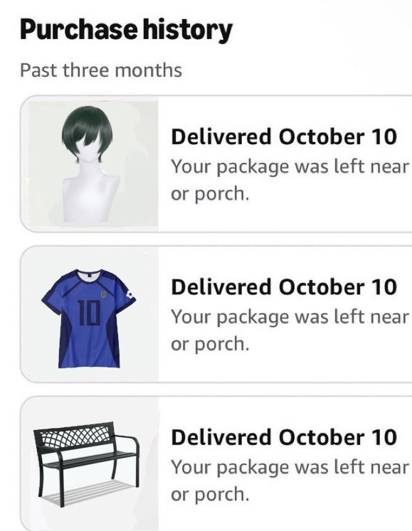 yvlrin's tweet photo. hope whoever stole my amazon package was also planning to be itoshi rin for halloween https://t.co/VWIM3rzDlu