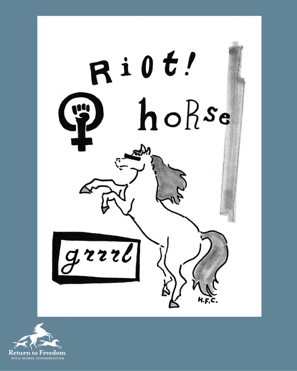 ReturnToFreedom's tweet photo. Never make a horse girl angry! New Yorker cartoonist's T-shirt benefits wild horses, RTF: https://t.co/DDbdaPnruH https://t.co/vDwPOHllUW