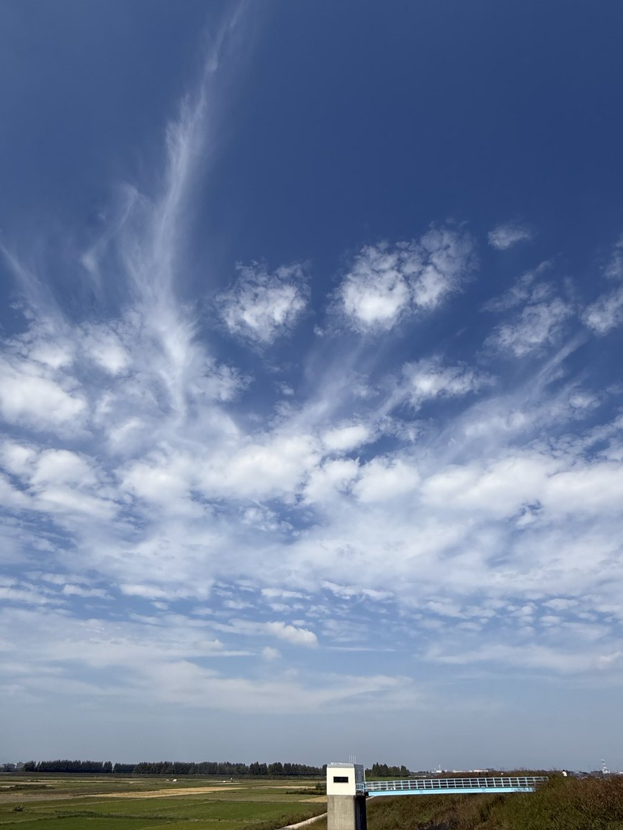 RiverofLife_C's tweet photo. のんびりと連休中の空😊︎︎︎︎☁✨ https://t.co/k5iN1I72rC