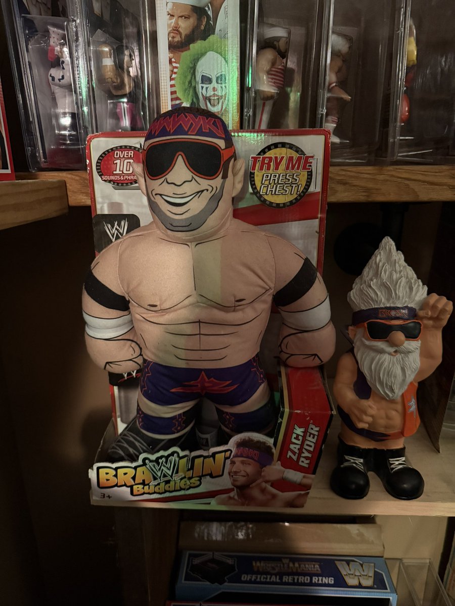 Its_Just_Walker's tweet photo. Anyone else still have their Zack Ryder @TheMattCardona Brawlin’ Buddy still in the box?
Kinda makes me wish I still had the box for the gnome!
#scratchthatfigureitch https://t.co/rBHkKBHlev
