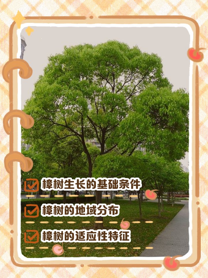 1968ca37806147f's tweet photo. 今日は漳と樟と鞘について、彼女たちとじっくり談笑しました。 https://t.co/cT4Yo0nL5D