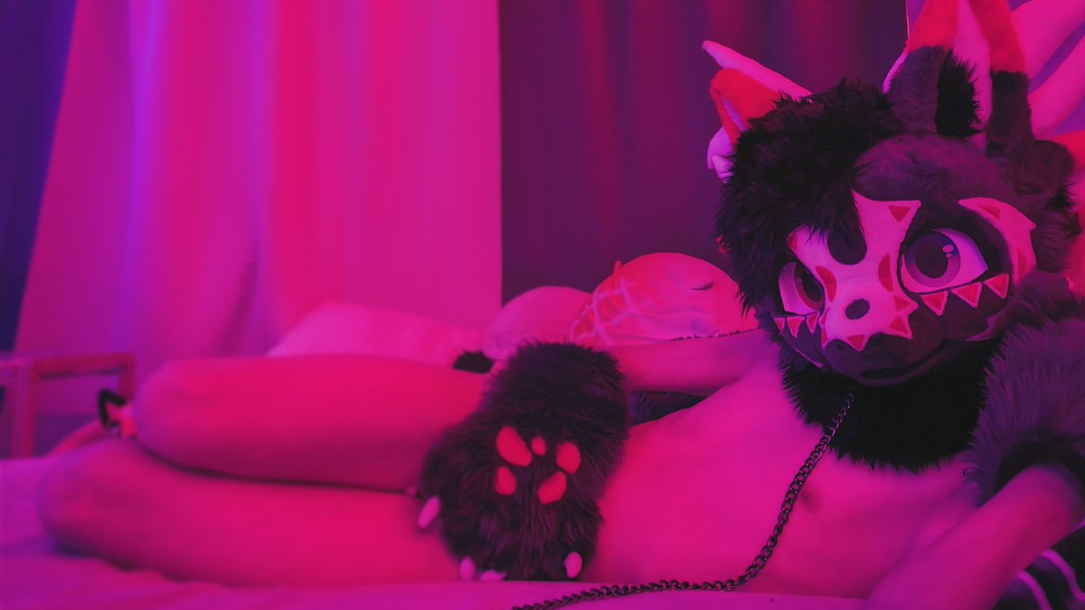 Lilly_Lyrith's tweet photo. Heard some prefer cuddles over being sat on, just make sure to hold my leash to keep me close~ https://t.co/O3T3T4VzNu