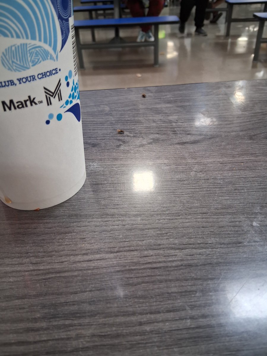 SetHumanityFree's tweet photo. Welcome to Sam's Club Cafe where you can enjoy flies with your meal.  They also eliminated sanitation wipes so you can't wipe your table or seats down either.  Disgusting company. https://t.co/WXKV6Dyw2F