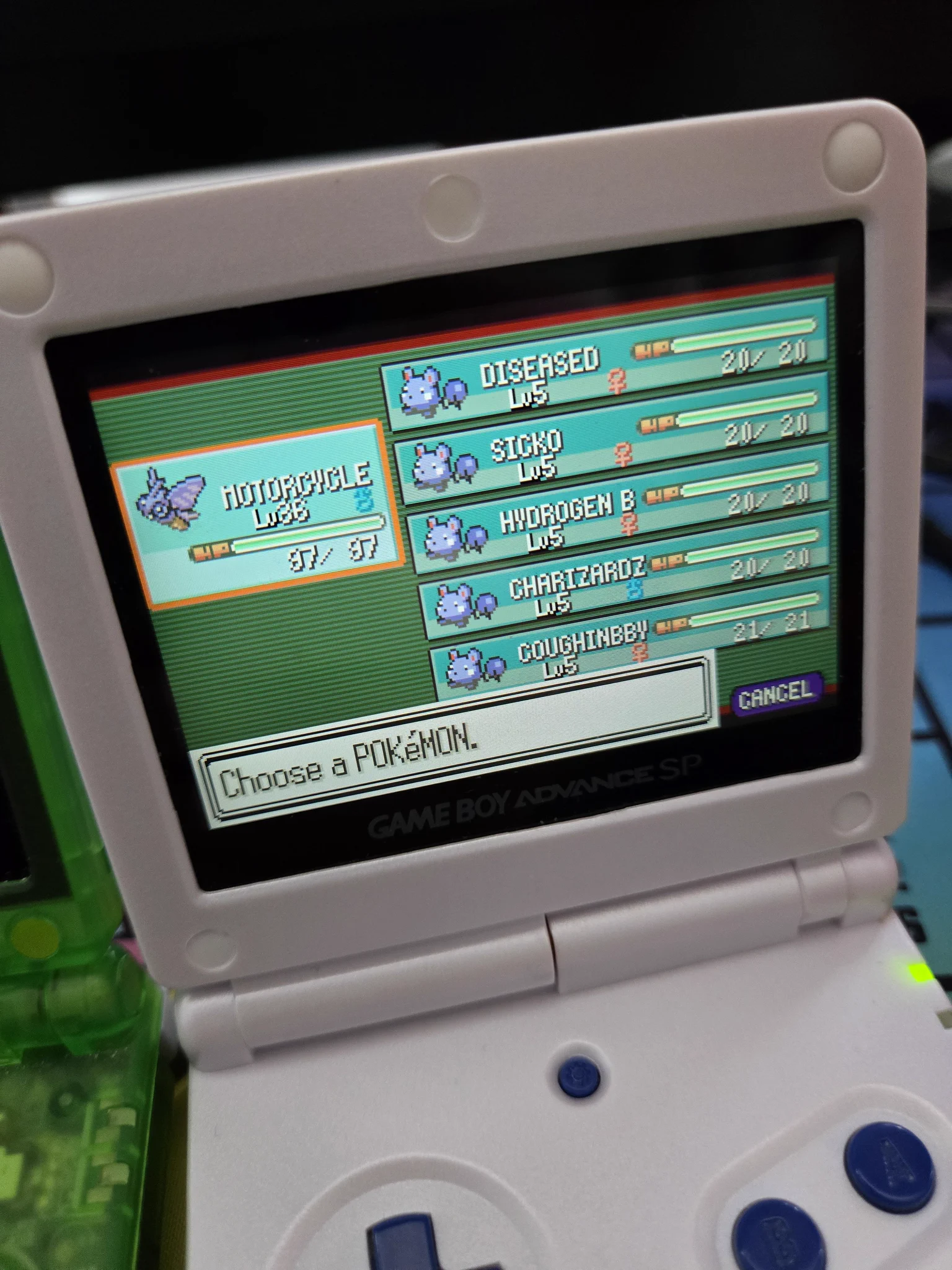 Matt (Absol) on X: 