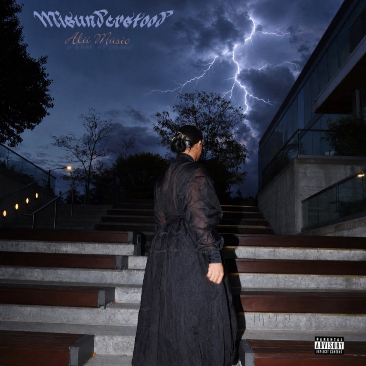 imaliimusicc's tweet photo. MISUNDERSTOOD 🌪️ My new project is out December 4th my birthday 🎉 ! Preorder this Friday https://t.co/SY01wUm21v