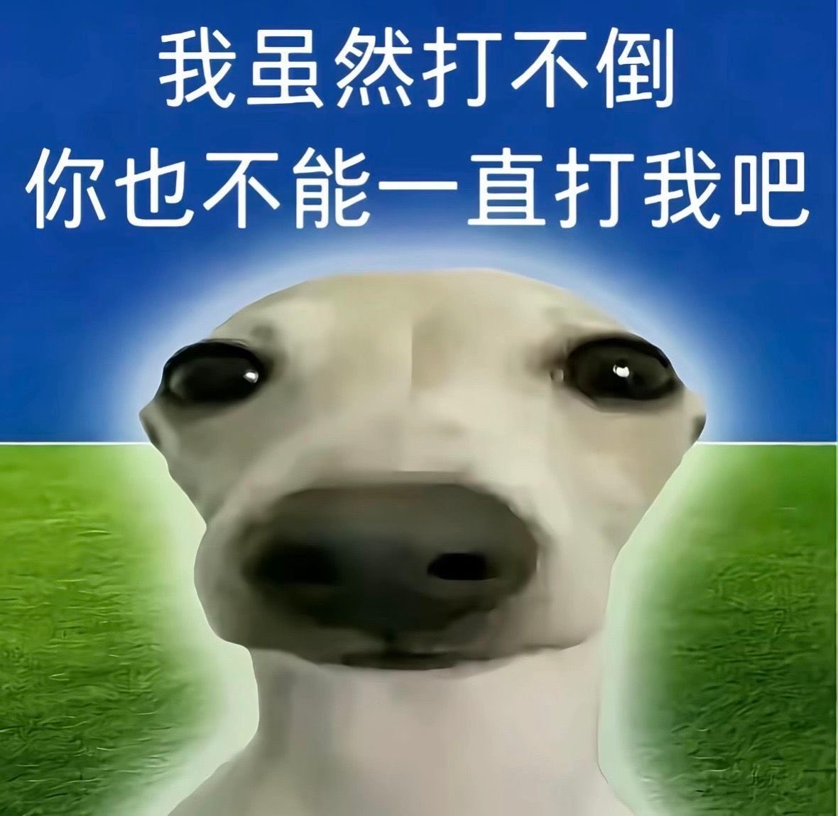 Mooyis919's tweet photo. AI你又给我假文献！！
配一个根本打不开的DOI
到底什么指令能治服gpt啊！？
本来就烦 https://t.co/jwQ1L7SU2x