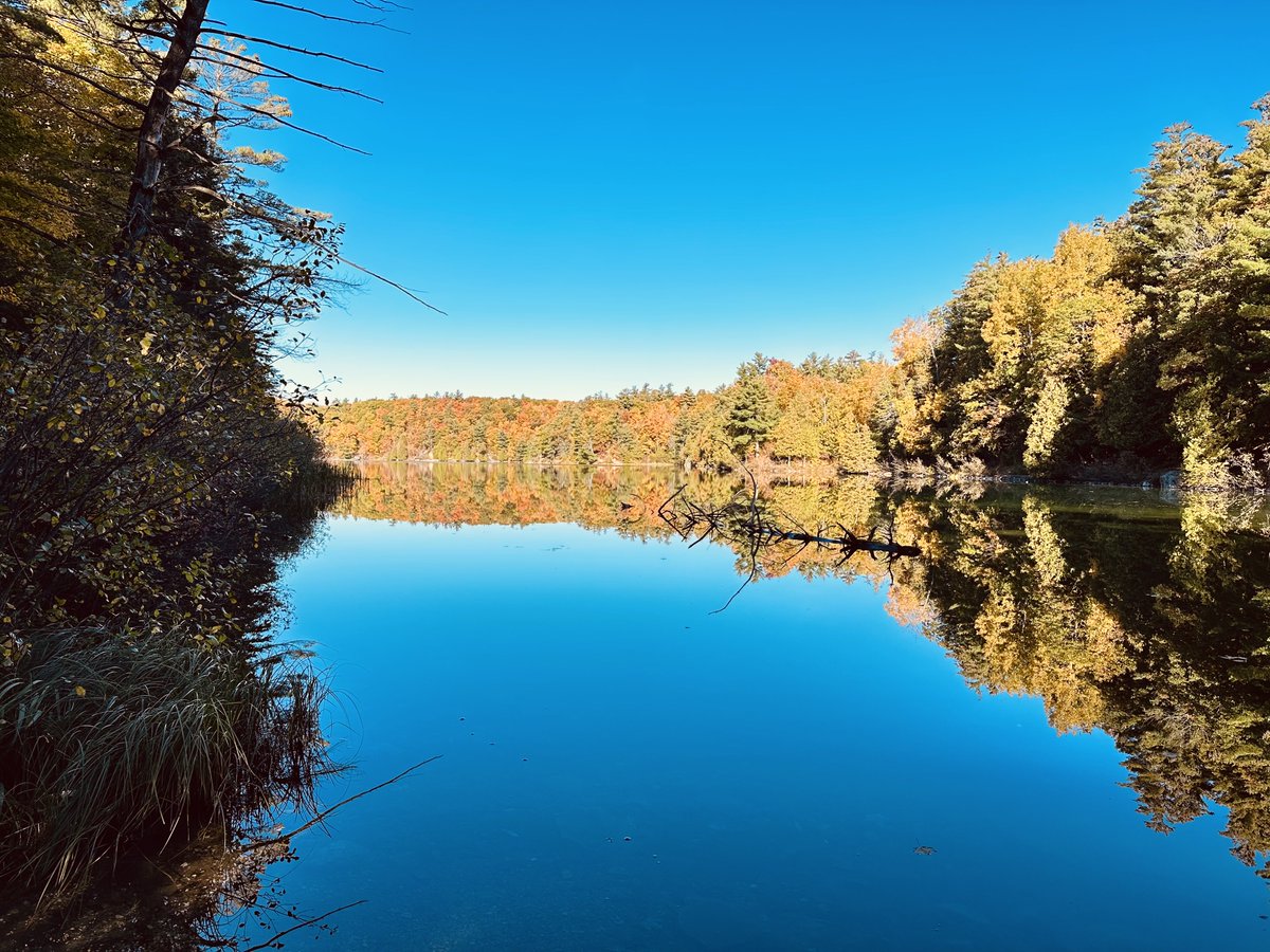 BasuOnita's tweet photo. Happy Thanksgiving - beautiful Gatineau Park #PinkLake https://t.co/LMFobUqfu4