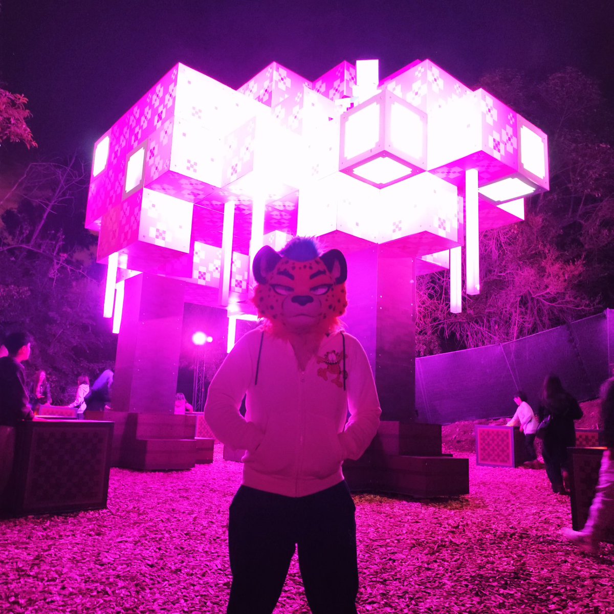 EvanBlessedChee's tweet photo. Cheeto in Minecraft Experience Chile

📷@gartore01

#furry #minecraft #minecraftexperience https://t.co/0ZbxR0XyBn