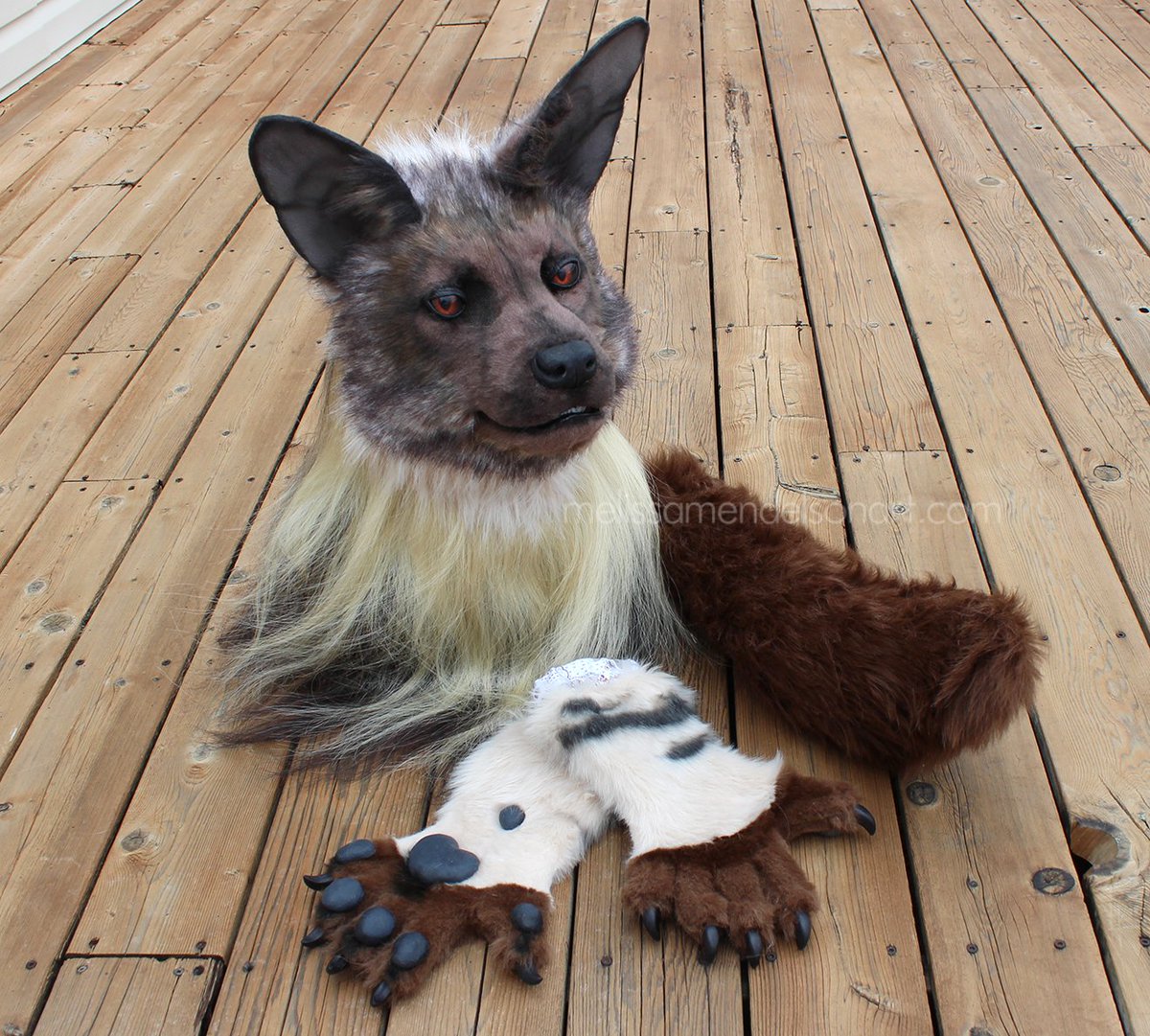 ZulayaWolf's tweet photo. Hyenas! I've made quite a few spotted, but I've also done brown, striped, and an aardwolf to cover the whole hyena family!

I open for new fursuit commissions this Wednesday, October 14! https://t.co/axkm3cvdJx
