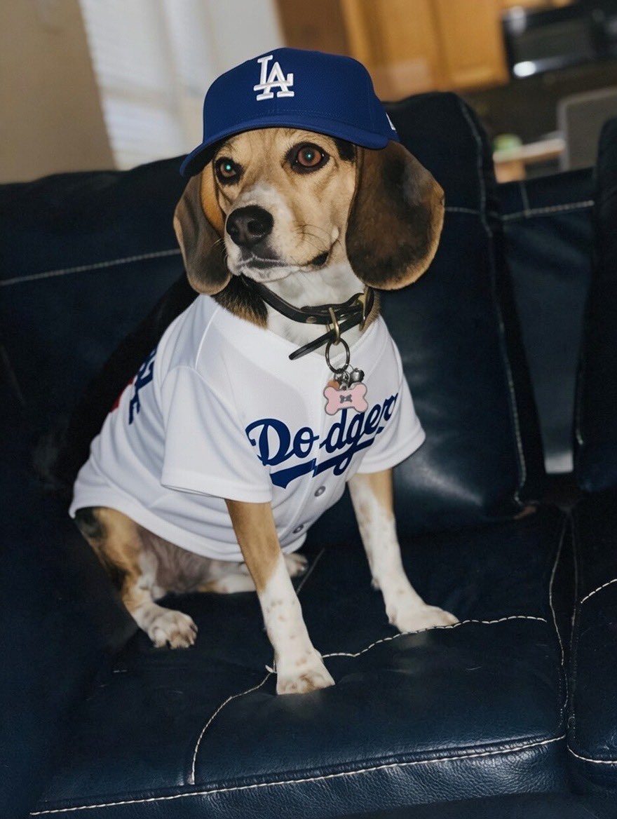 ddoggiesmommy's tweet photo. Game 2–Let’s tie it up #Dodgers and then go home to LA!!!! #MagsMagic is all teed up and ready for Yamamoto to do his thing! https://t.co/i8Q3123xa9