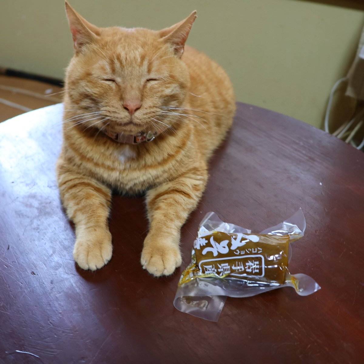 shironeko_1's tweet photo. ちゃぶ台の上の特選みそ漬大根

#特選みそ漬大根
#ねこ
#猫
#ちゃぶ台
#テーブル
#ネコ https://t.co/ylwvS1D9X9