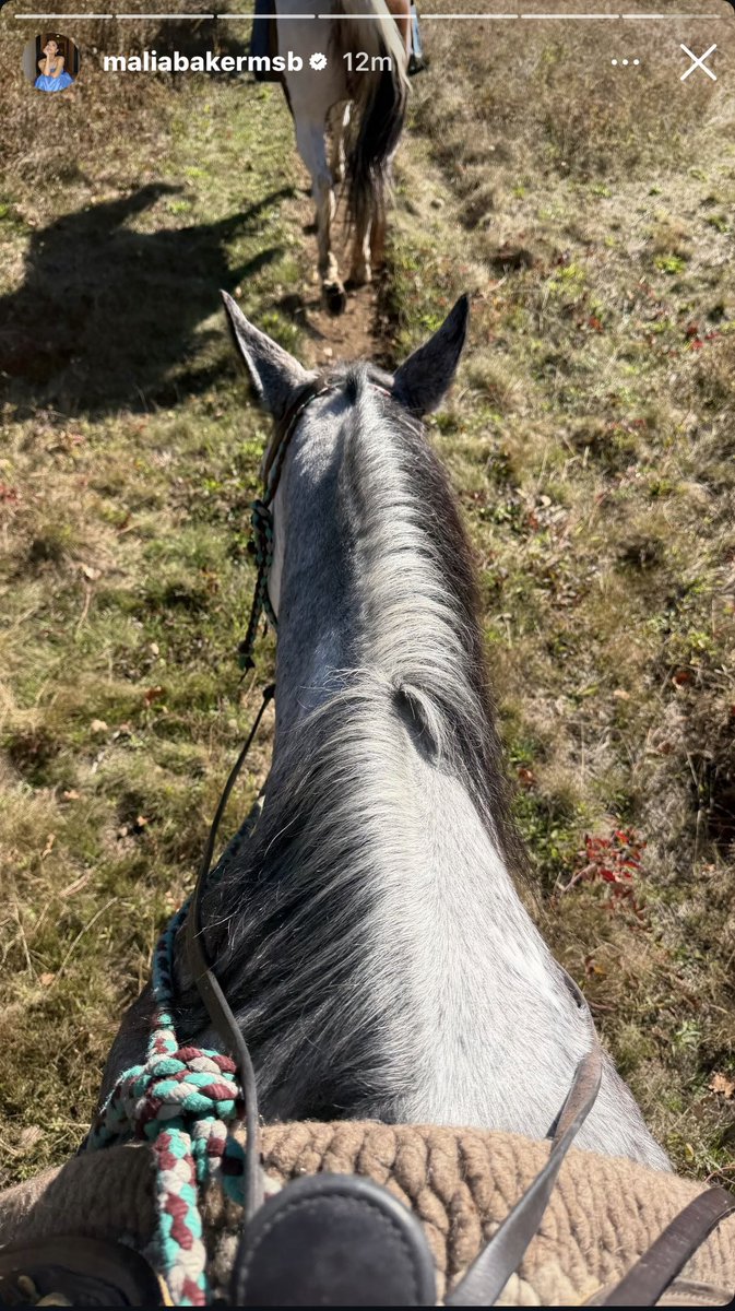 llau_baker's tweet photo. MALIA VEM ANDAR A CAVALO AQUI COMIGO NA ROÇA AMOR!!!!! https://t.co/sxXrpDUIG6