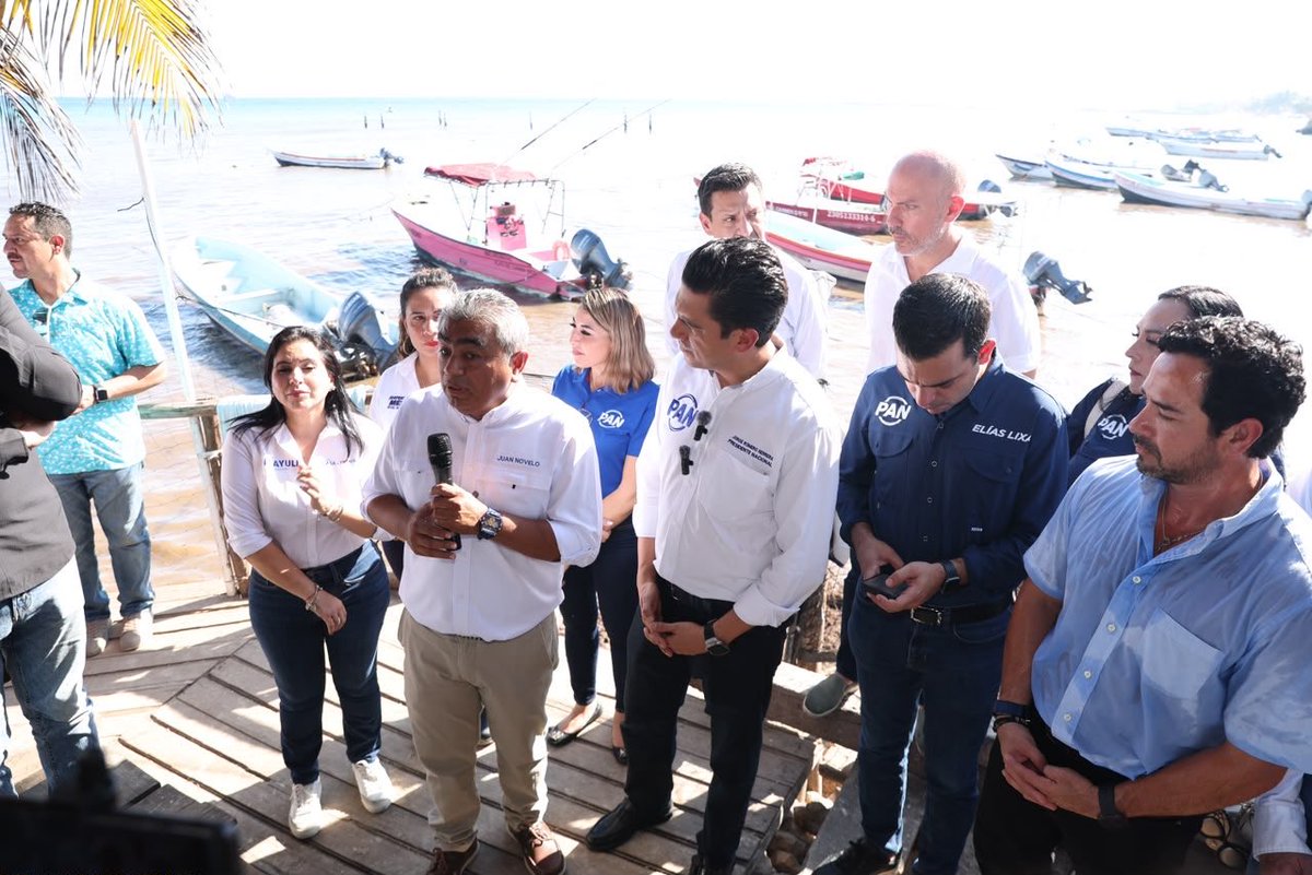 JorgeRoHe's tweet photo. En entrevista desde Playa del Carmen, hablamos sobre el sargazo y sus afectaciones a la actividad pesquera, de la que depende el sustento de muchas familias.

Urge escuchar a los pescadores y atender esta problemática con acciones concretas. Desde @AccionNacional seguiremos alzando la voz para proteger nuestras costas y a quienes viven de su trabajo en el mar. 🇲🇽

#DefendamosMéxico