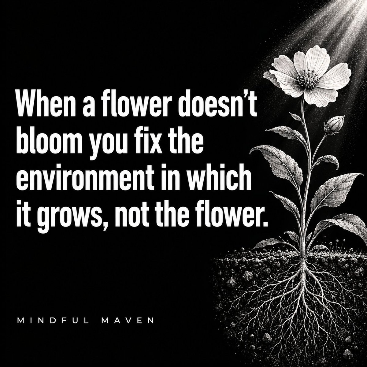 mindfulmaven_'s tweet photo. https://t.co/cOatWoNlL0