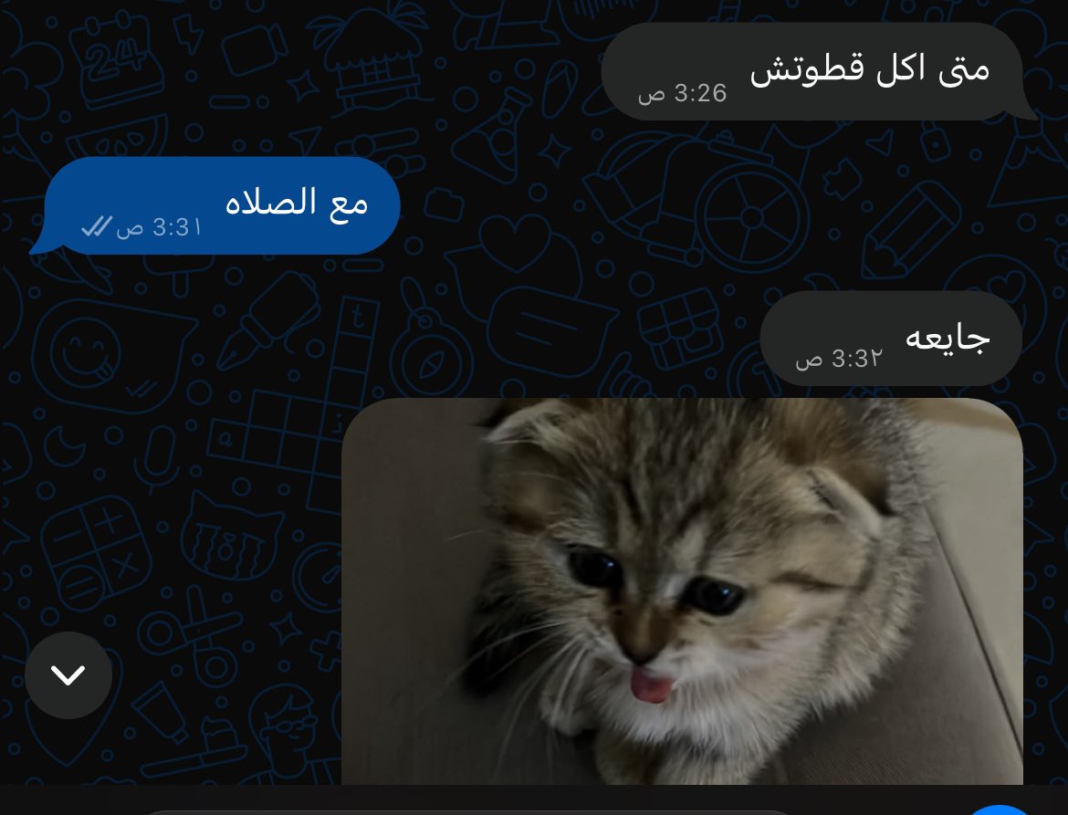 weth3x's tweet photo. - امي مع القطو اللي حلفت مايدخل البيت: https://t.co/OZa0mk0oBj