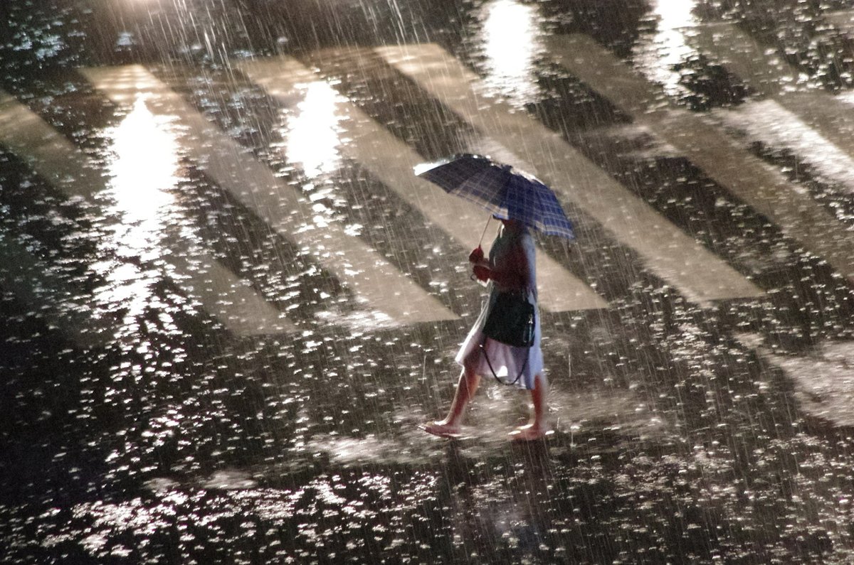 dlstjr8628's tweet photo. 源沉する足元、誹りの雨に打たれても、前を向く https://t.co/dCEvmrsmsD