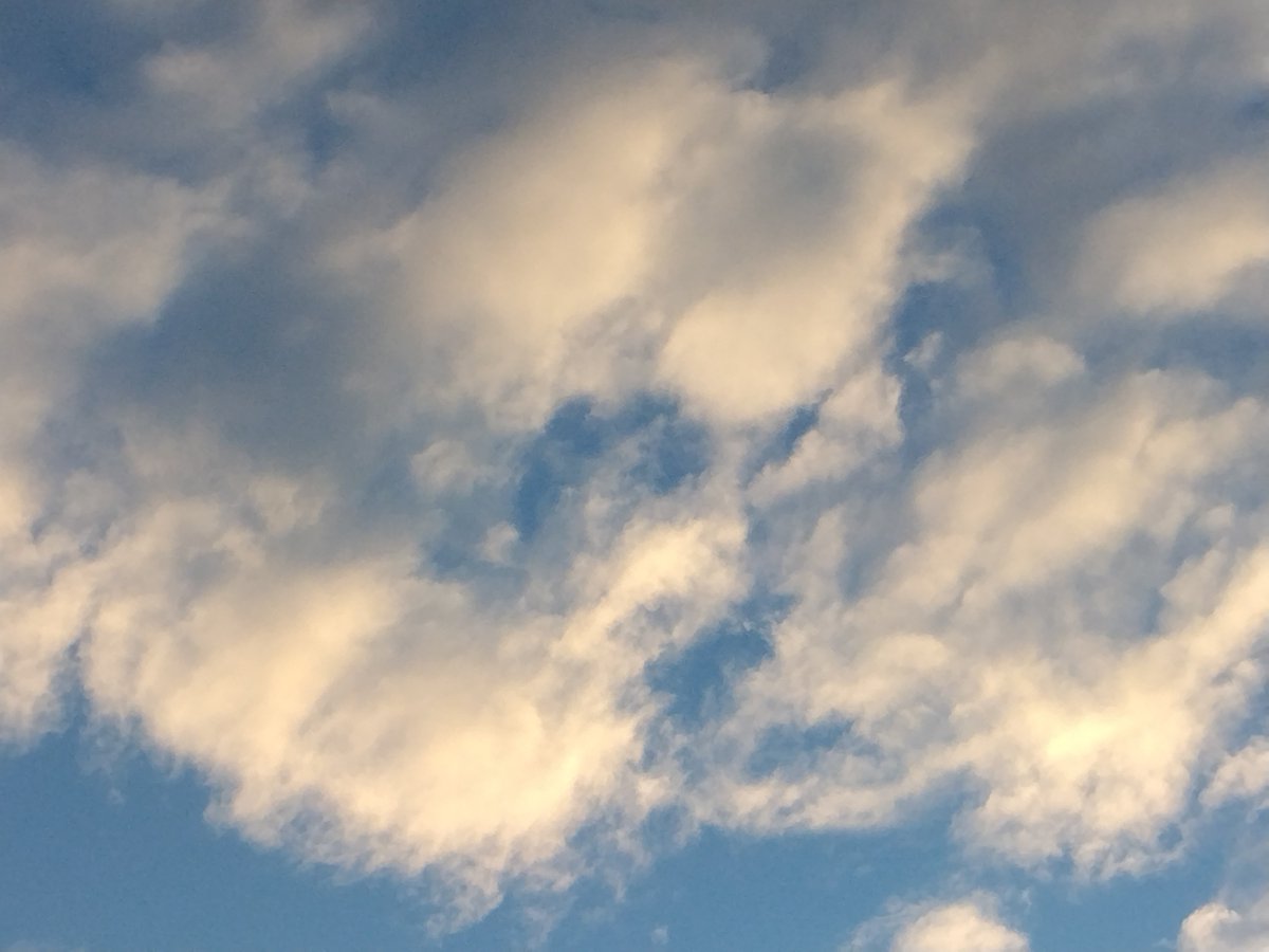 26027ofr0's tweet photo. 秋の空だな今日も頑張る
 #イマソラ https://t.co/5L5UZHt4Y1