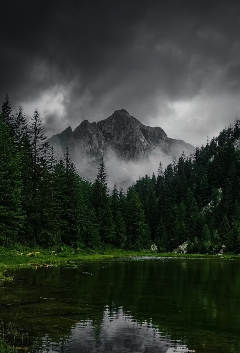 spooky_nature tweet picture