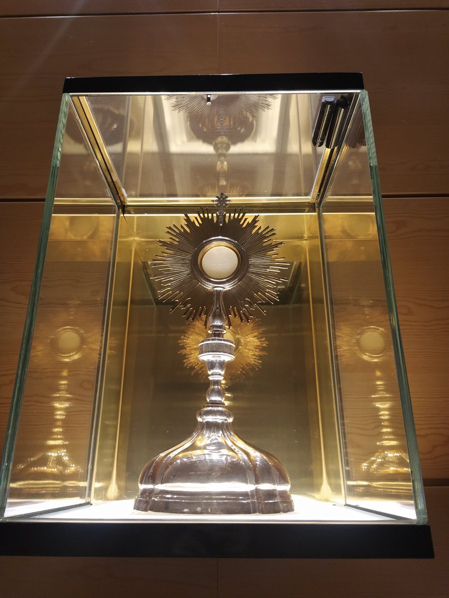 CarolBV7's tweet photo. Alabado Sea El Santísimo Sacramento Del Altar Cristo Vence Cristo Reina Cristo Impera https://t.co/iZAdPv8JXI