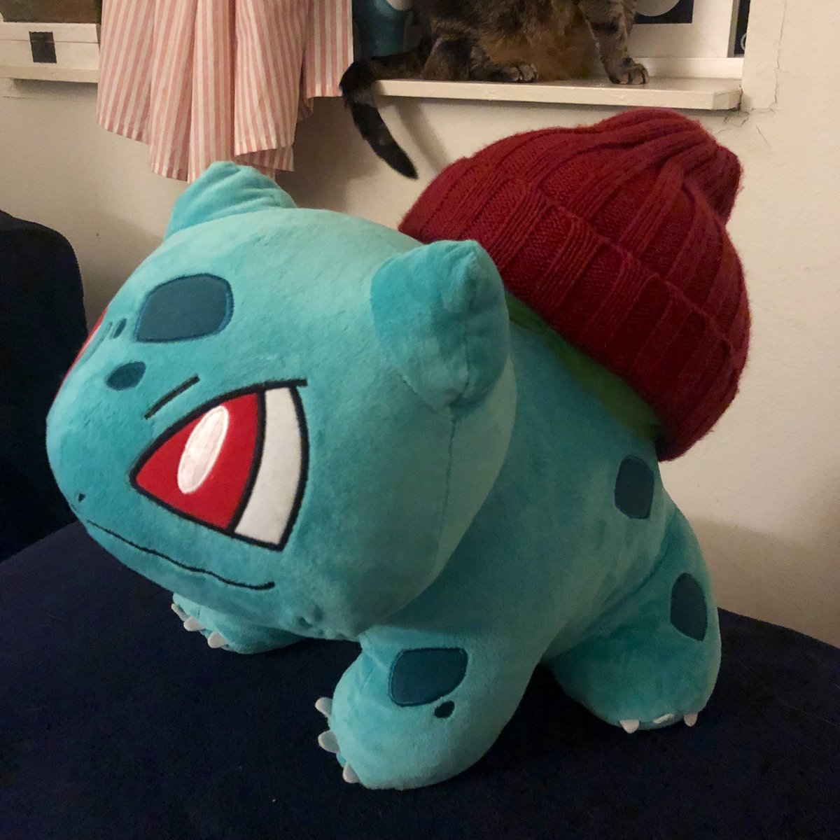 pokemon_daily's tweet photo. how do Bulbasaurs wear hats? https://t.co/4ZsBHdMBgQ