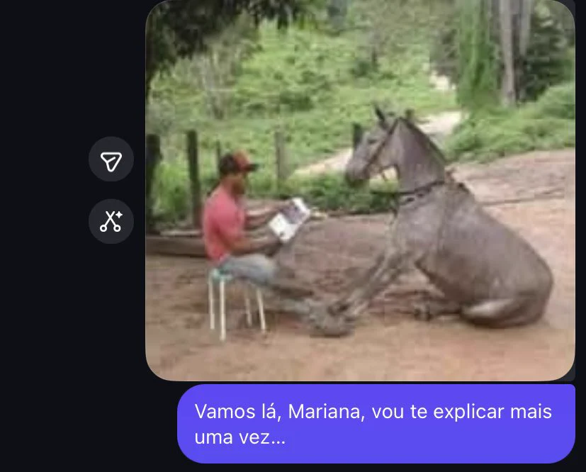 o brasil é sober(anna) on X: 