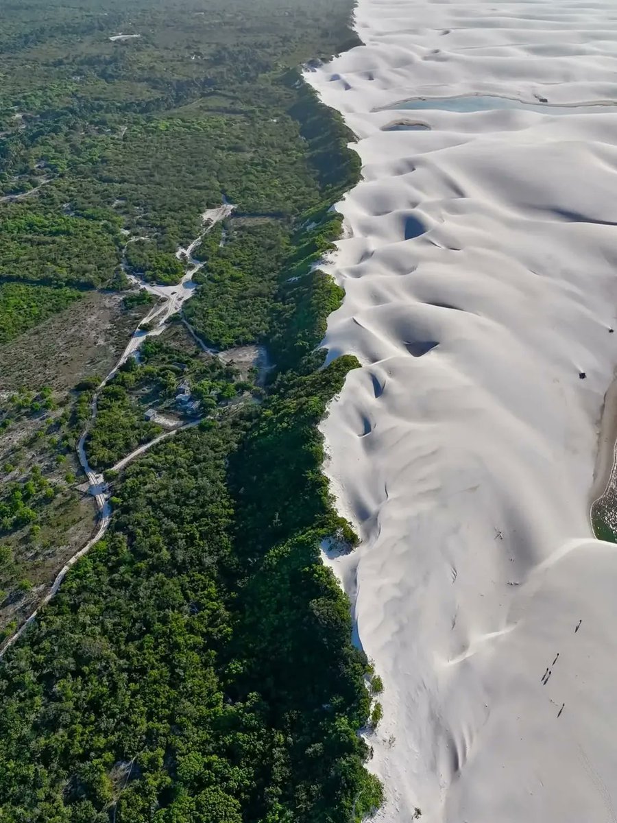 NaturalEye78321's tweet photo. Maranhão, Brazil 🇧🇷 https://t.co/Paph4NfO54