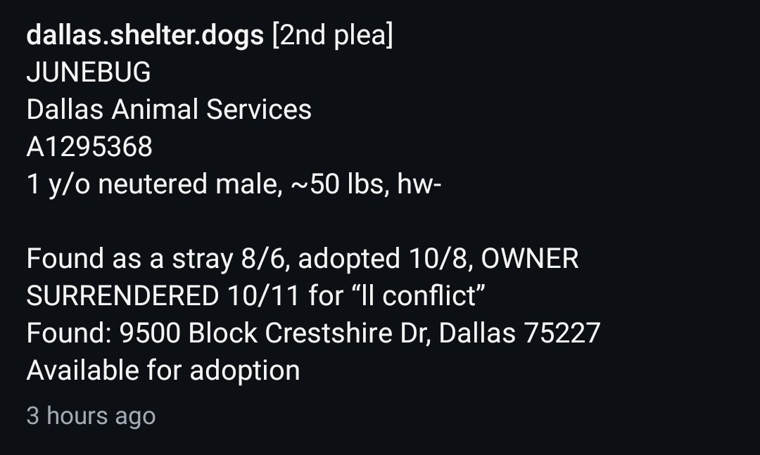 itsadogslifersq tweet picture