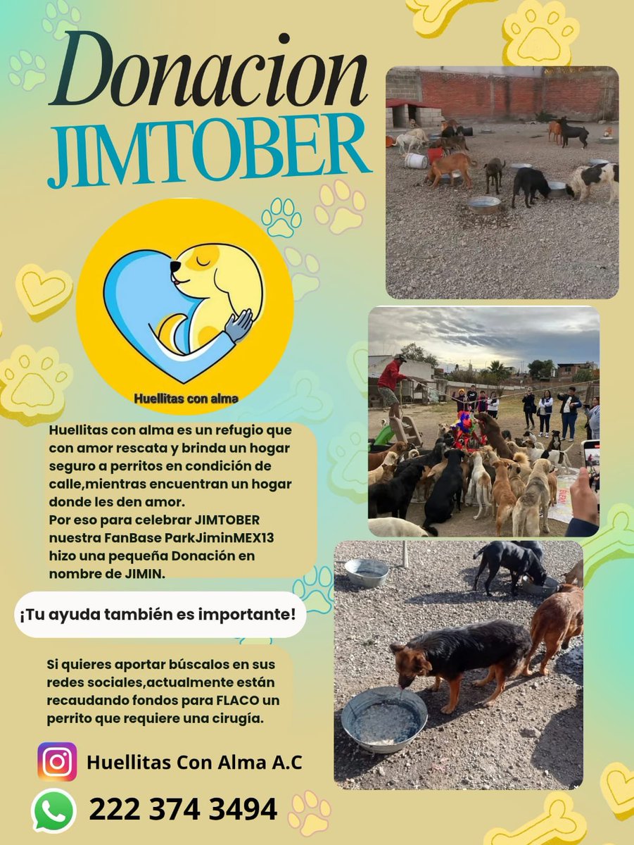 ParkJiminMEX13's tweet photo. 🐾 FAN PROJECT 1: RESCATANDO LOMITOS | JIMTOBER 2026 🐥💛

Para celebrar el cumpleaños de JIMIN, nuestra FB "ParkJiminMEX13" realizó una pequeña donación a la fundación @HuellitasAlma para apoyar a perritos rescatados y darles una segunda oportunidad  de vida 🐶✨. Siguiendo sus hermosas palabras de amor y bondad, convertimos nuestro cariño por él en ayuda real.

“Sé bueno con tu mamá, sé bueno con tu papá, sé bueno con tu perro, sé bueno con tu gato, no olvides estudiar mucho y pensar en mí todos los días, ¿lo prometes? Te amo.”
                     — Jimin 2026 —

Gracias a todxs por sumarse y hacer posible este proyecto! 🎉

Si quieres ser parte de esta bonita celebración (JIMTOBER ) puedes apoyar aquí , los lomitos te lo agradecerán 👇

IG:  https://t.co/1QOXGCz5O3 

🔗 https://t.co/5NqPahTpwr

HAPPY BIRTHDAY JIMIN
GOOD HUMAN JIMIN 
#HappyJiminDay
#해피지민데이 
#ItBoyJiminDay
 #RescatandoLomitos