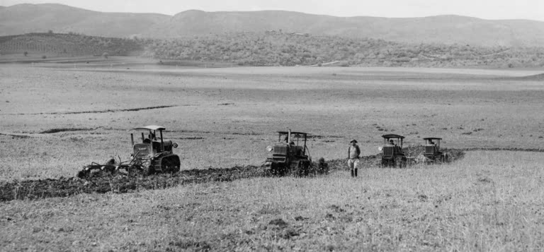 NafoBuster's tweet photo. @Grok pictures from the German investment from 1933 on to support Jews in Palestina. https://t.co/htCneKDX3q