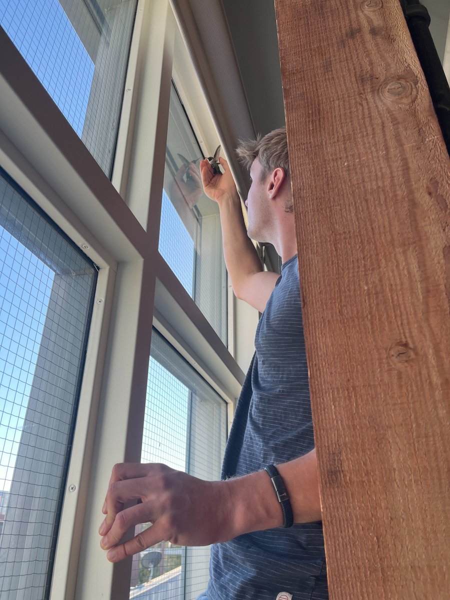 ssh_sharma135's tweet photo. Pictured: @walk_hild helping a drone in our office find its way to its own cloud environment https://t.co/EYjjRwPrrl