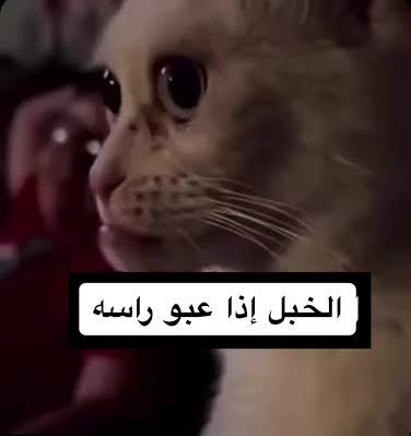 imluqya's tweet photo. صديقتي السعوديه الي اعرفها من ٢٠٢١ لقيتها مبلكتني 
حسبياللهونعمالوكيل https://t.co/ddAFWbfsNM