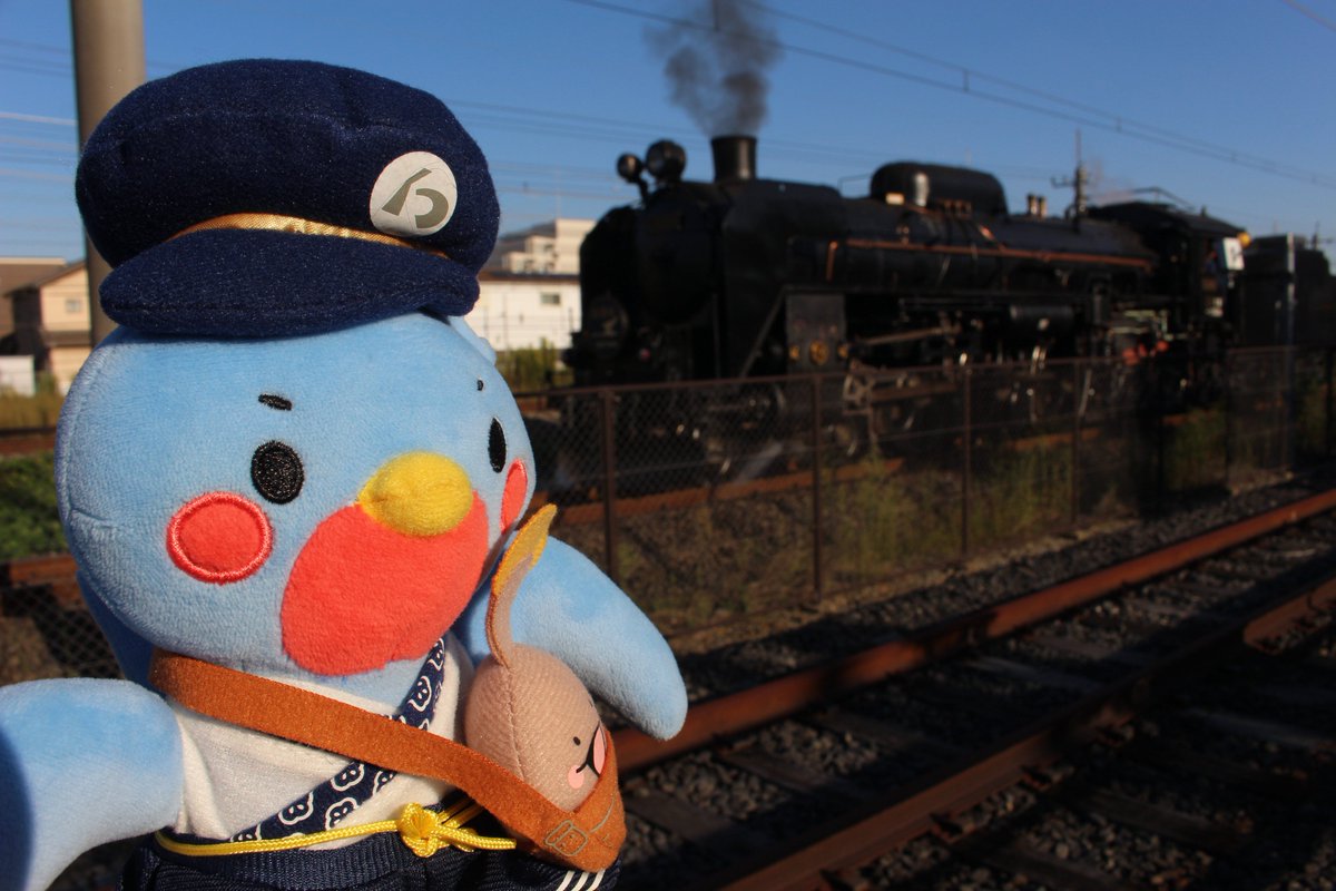 teppaku_mania's tweet photo. ウメテツあれはSLスチーム号じゃないよ
 #鉄道博物館  #てっぱく  #C6120 https://t.co/nAb8yhK2UJ